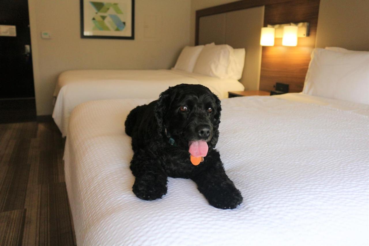 Holiday Inn Express & Suites Albuquerque Historic Old Town By Ihg Ngoại thất bức ảnh